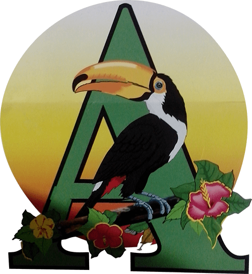 AMAZON LODGE to the first floating jungle lodge built in the